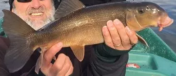 Large brown sucker fish held by a man near water