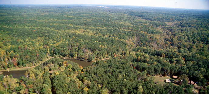 an aerial shot of cabin camp 5 an aerial shot of cabin camp 5