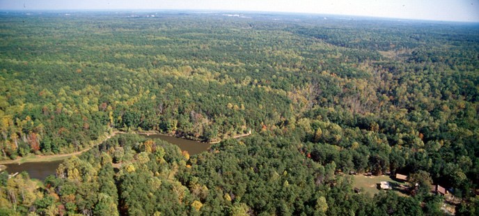an aerial shot of cabin camp 5