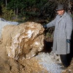Former park superintendent standing next to a large trunk of petrified wood