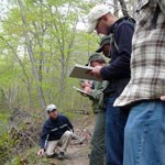 Researchers at work