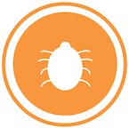 An illustration of a tick.