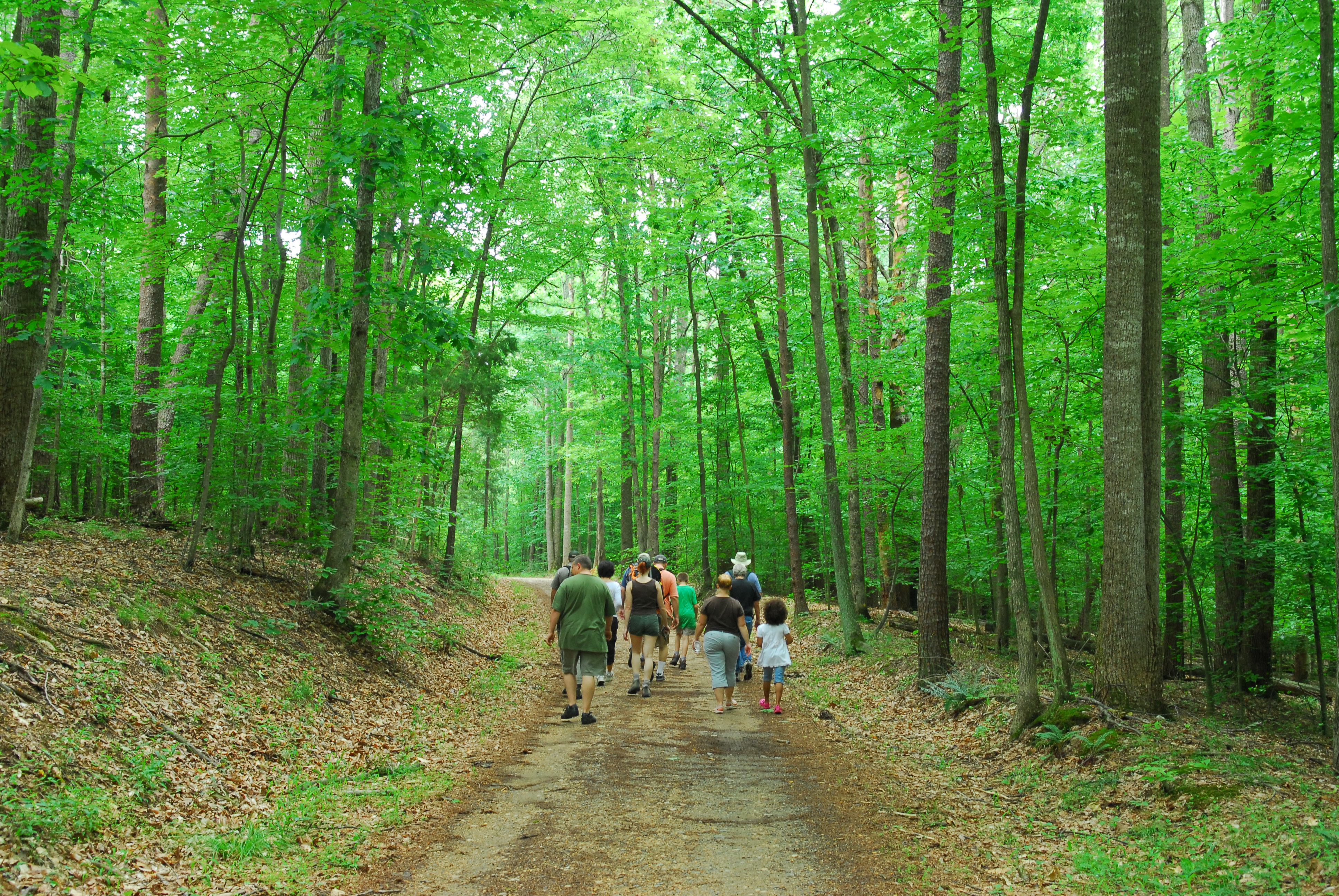Hikers at Prince William Forest Park