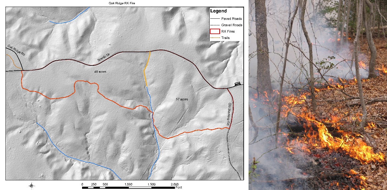 RX Oak Ridge Planning Collage of map of prescribed fire area with red outline of fire area following Oak Ridge Trail, Scenic Drive, and Old Blacktop Road and fire creeping among leaves in a forest