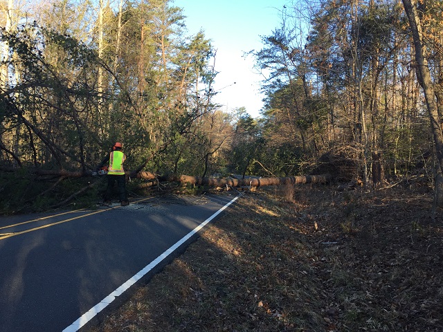 NPS tree crews are hard at work clearing fallen trees from park roads.