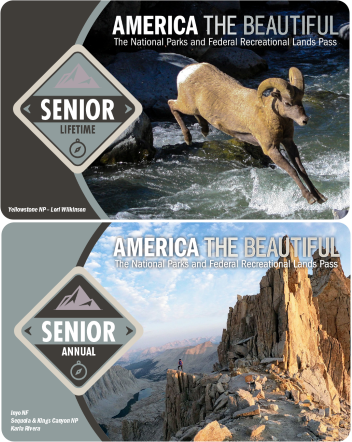 2023 Senior Passes, annual stacked on top of lifetime, annual is gray with a photo of a rocky mountain and lifetime is gray with a photo of a bighorn sheep