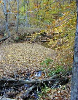 Stop 9 of the geology e-walk, large gravel bar of mine waste sediment along a side creek