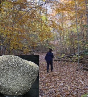 Stop 10 on the geology e-walk, person walking on the pyrite mine trail with a close-up photo of iron pyrite