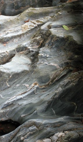 Stop 2 of the geology e-walk, rocks of the Chopawamsic formation with pink quartz veins