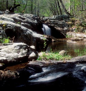 Stop 4 of the geology e-walk, cascades along the north fork of Quantico Creek at the fall line