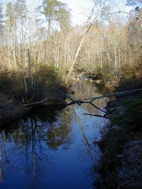 Stop 7 and 8 of the geology e-walk, bend of Quantico Creek