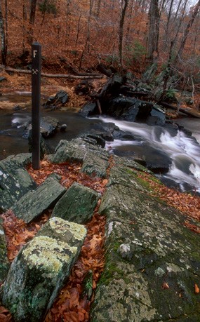 Stop F on the geology e-walk, greenstone rocks along Quantico Creek