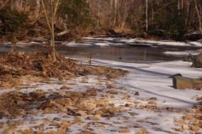 South Fork Quantico Creek in Winter