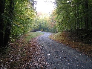 Burma Road rounding the curve in fall