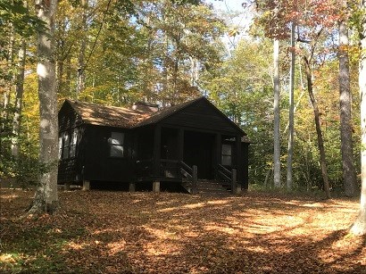 Cabin Camp 2 cabin surrounded by fall foliage