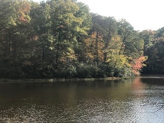 Lake 2 in fall