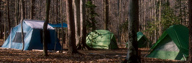 Tents are clustered together at the campground.