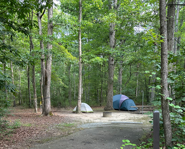 Small and large gray dome tents set up near a picnic table, fire ring, and paved parking pad in a green forest
