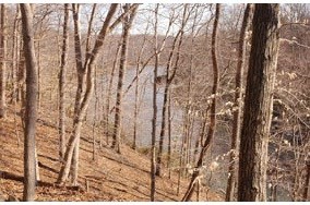 Chopawamsic Creek and Breckenridge Reservoir