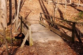 Footbridge on High Meadows Trail