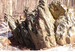 Rock outcroppings that line a small section of Laurel Loop