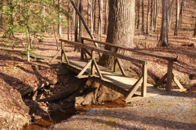 Footbridge over Mary Bird Branch Trail creek