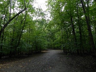 Old Blacktop road on a rainy day