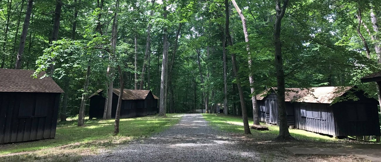 Group of Cabins at Cabin Camp 3