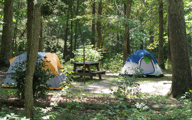 An orange and blue dome tent are set up on either side of a picnic table and lantern hook in a green forest