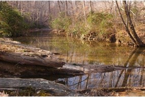 View of Quantico Creek from Quantico Cascades