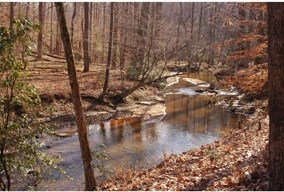 View of Quantico Creek