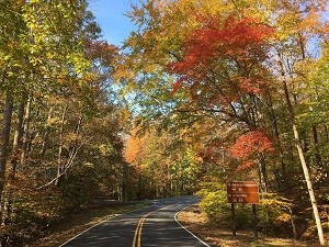 Scenic Drive in fall