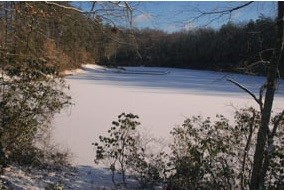 Snow covered lake