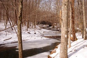 South Fork Quantico Creek and view of Scenic Drive bridge