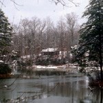 Craft lodge surrounded by trees at Lake 2 in the winter