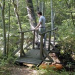 man on bridge with dog