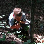 Young boy inspecting a tree with a magnifying glass