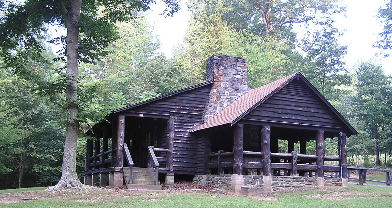 Craft lodge in Camp 1 surrounded by green forest