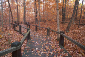 Boardwalk Boardwalk