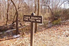 The end of Cabin Branch Pyrite Mine Trail. Quantico Creek and  a trail sign giving direction.
