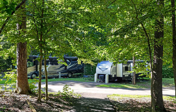2 RVs are sitting on paved parking pads in a green forest