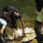students in stream