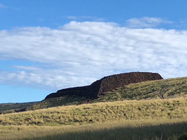 South view of Pu'ukohola Heiau