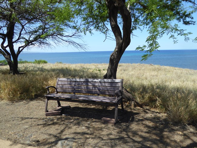 a bench with shade