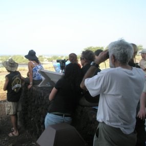 Visitors at the Visitor Center watching humpback whales with volunteers from the Hawaiian Islands Humpback Whale National Marine Sancturary.