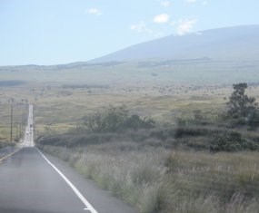 Driving on the Mamalahoa Highway on the Island of Hawai'i.