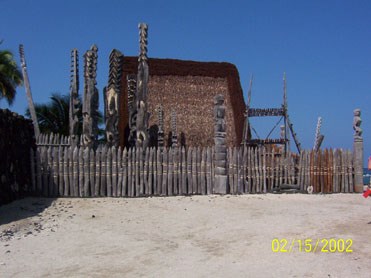Hale o Keawe picture of a traditiona ti leaf thatched hut surrounded by ki'i or 10 foot carved wooden figures and a small wooden fence.