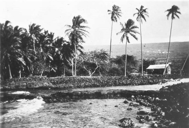 B9_NEG854_1912_PALACE GROUNDS VIEW FROM HALE O KEAWE_crop