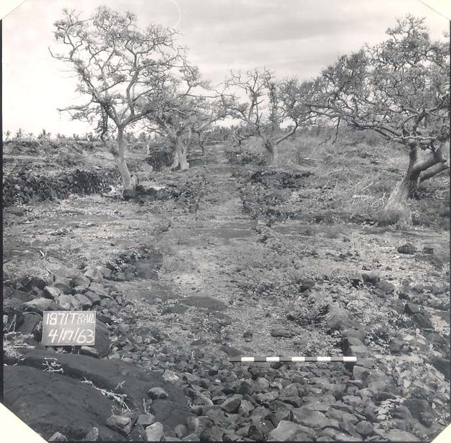 1871 Trail prior to 1960's stabilization