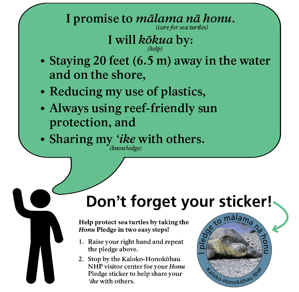 Honu Pledge infographic. Alt text below.